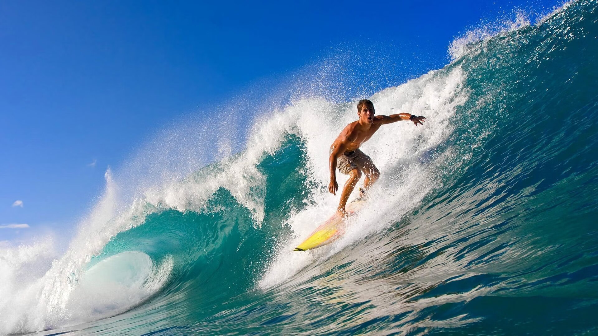 篮球球队实力对比